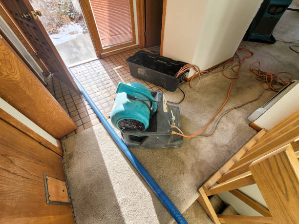 Professional Water damage restoration in New Port Richey, FL
