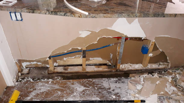 New Port Richey, FL Water damage restoration Pros