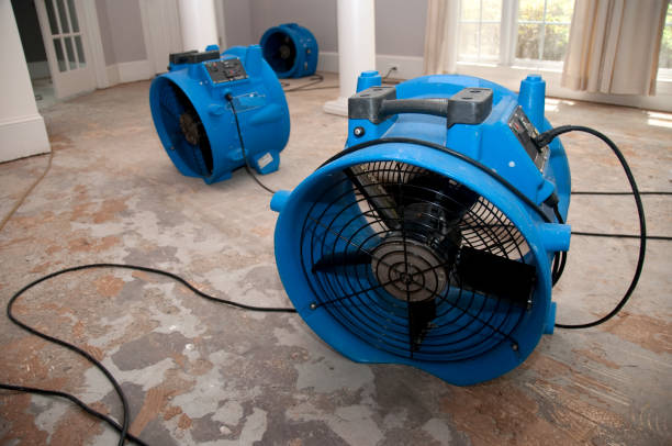 Best Flood restoration services  in New Port Richey, FL