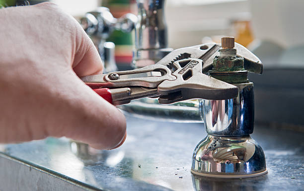 Best Mold removal after water damage  in New Port Richey, FL