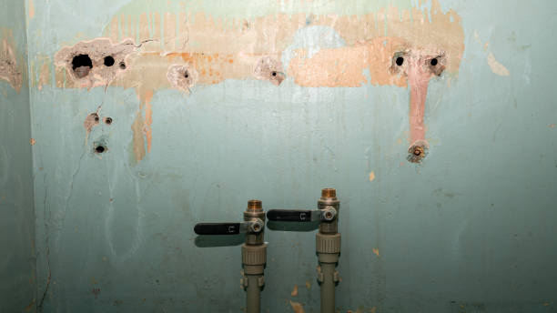Best Water damage contractors near me  in New Port Richey, FL