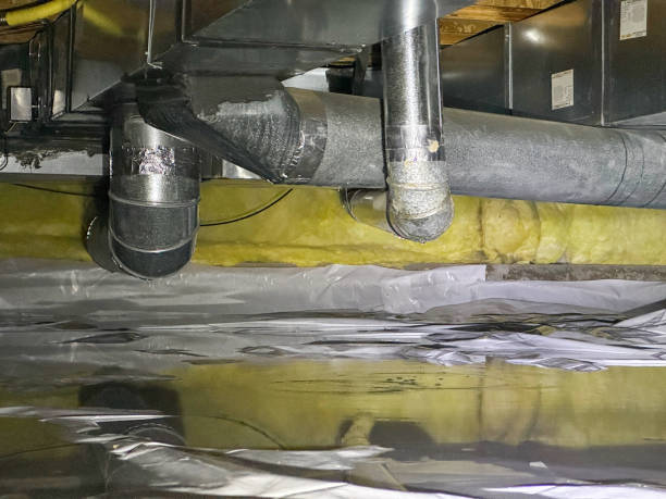 Best Local water damage restoration  in New Port Richey, FL