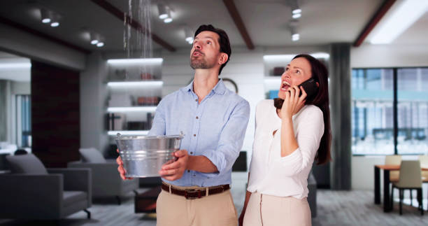 Best Emergency water damage restoration  in New Port Richey, FL
