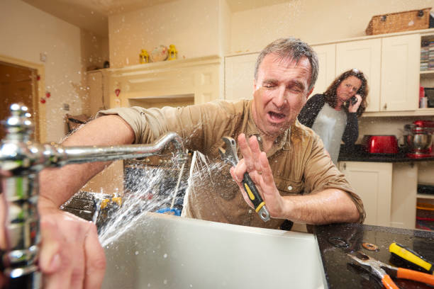 Best Flood damage cleanup  in New Port Richey, FL